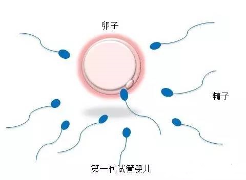 关于木棉医疗中心